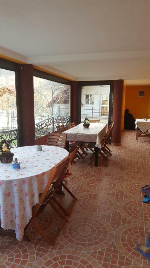 Hôtel Casa Dodoc à Căciulata Extérieur photo