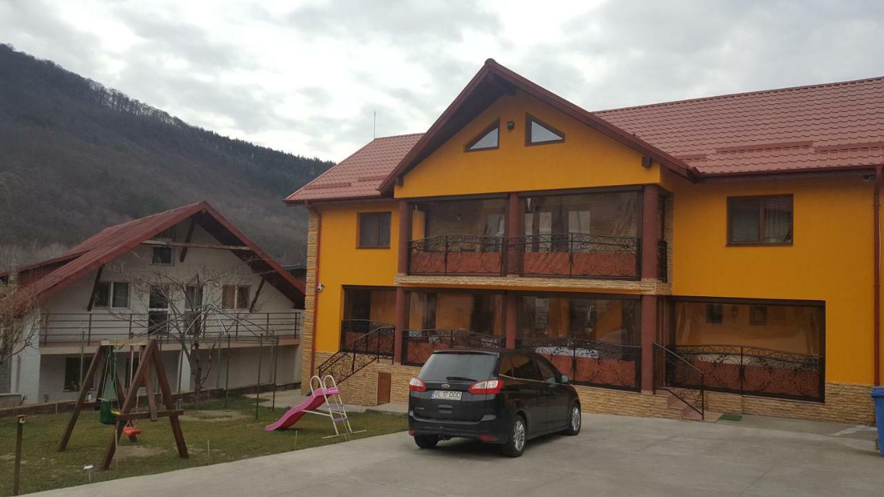 Hôtel Casa Dodoc à Căciulata Extérieur photo